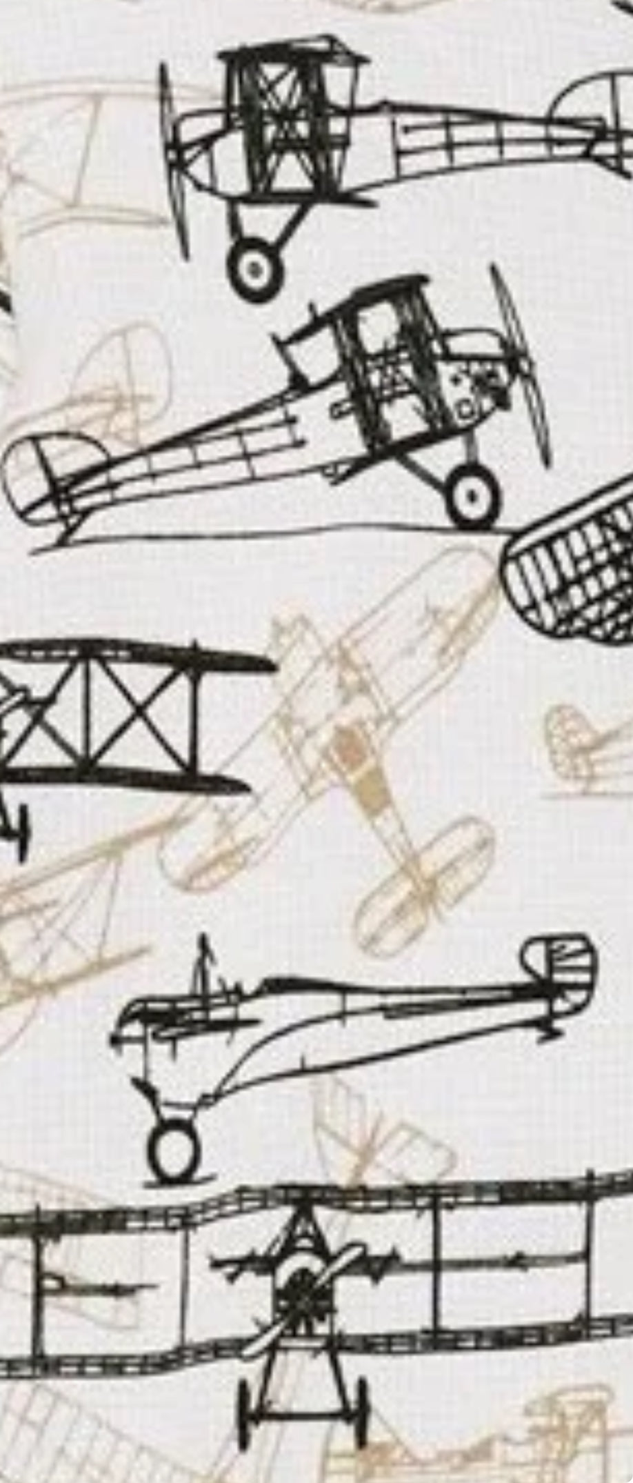 Posh Peanut - Wright flyer